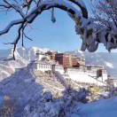 གངས་རིའི་བུ་ཕྲུག