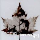 བྱང་འོད།